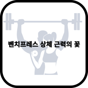 벤치프레스 상체 근력의 꽃 헬스 필수 운동